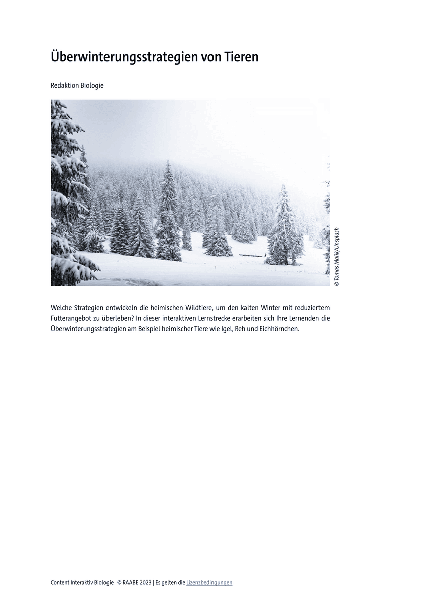 Lernen & Üben: Überwinterungsstrategien von Tieren Lernen & Üben: Überwinterungsstrategien von Tieren
