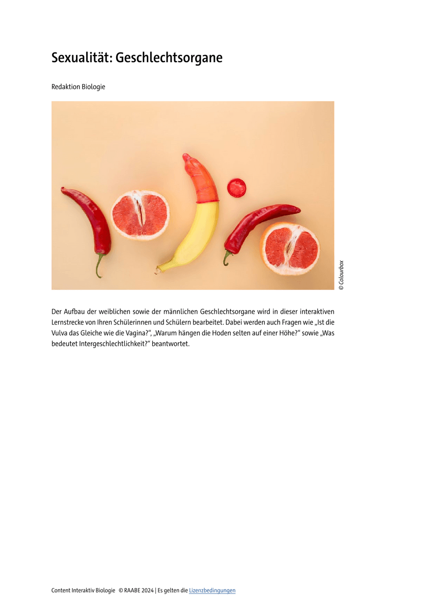 Sexualität: Geschlechtsorgane Sexualität: Geschlechtsorgane