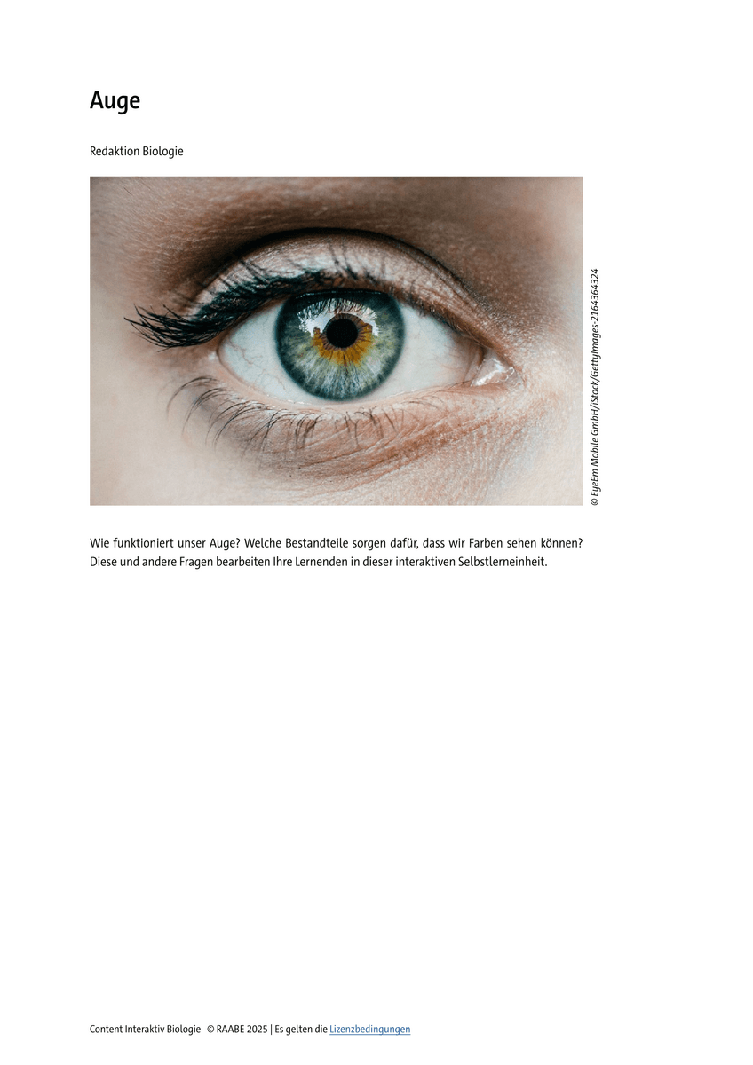 Lernen & Üben: Das Auge Lernen & Üben: Das Auge