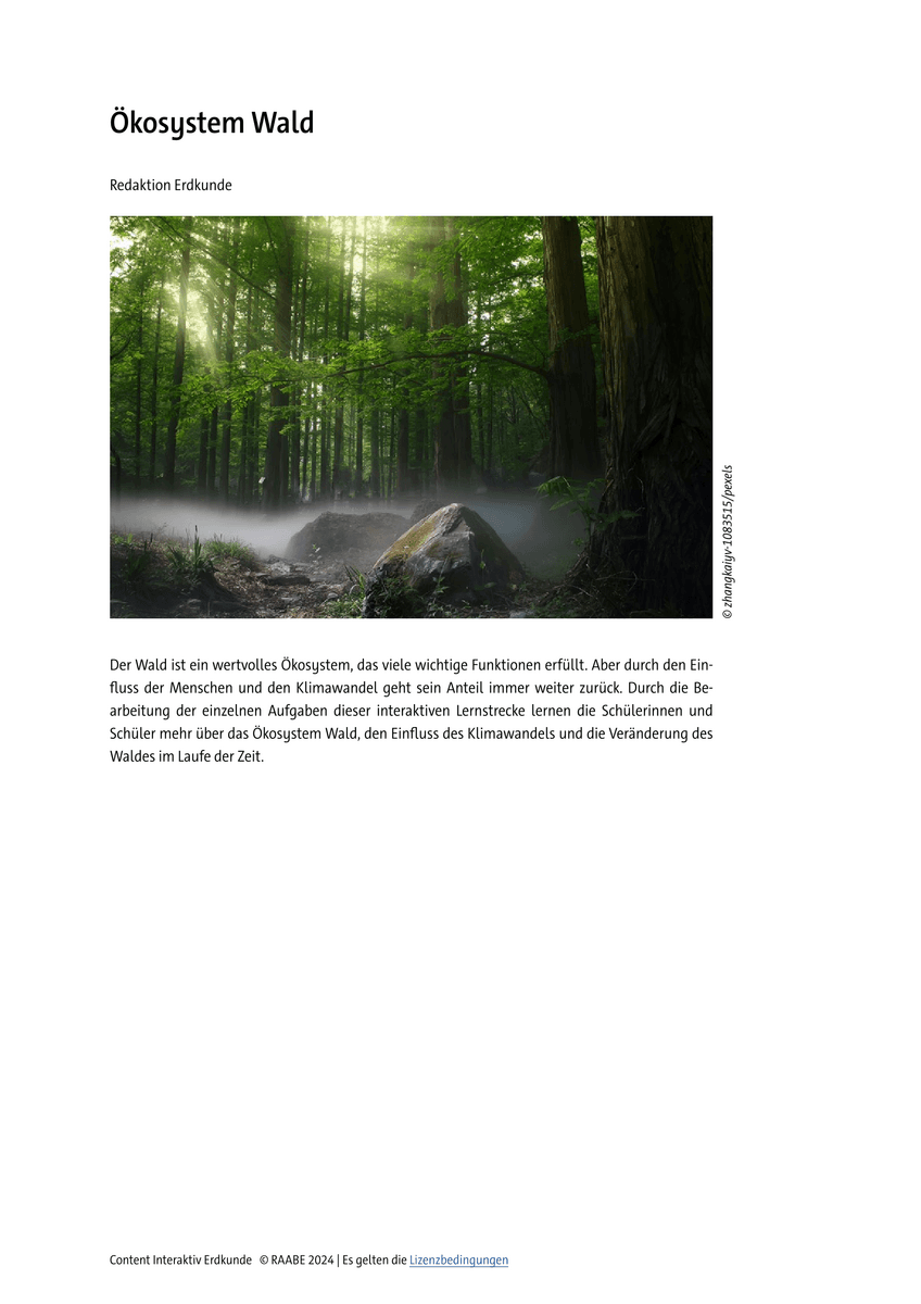 Lernen & Üben: Ökosystem Wald Lernen & Üben: Ökosystem Wald