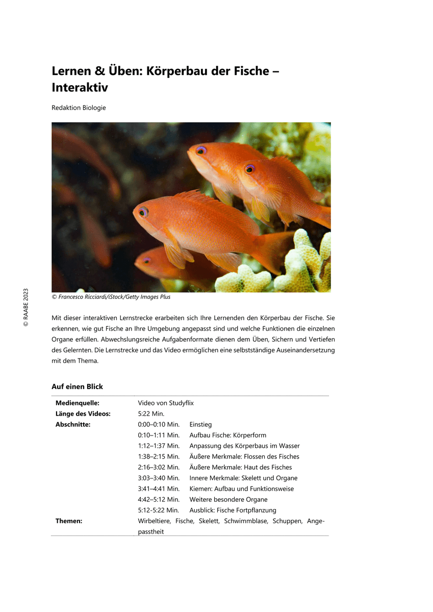 Lernen & Üben: Körperbau der Fische Lernen & Üben: Körperbau der Fische