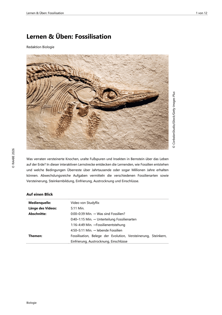 Lernen & Üben: Fossilisation Lernen & Üben: Fossilisation