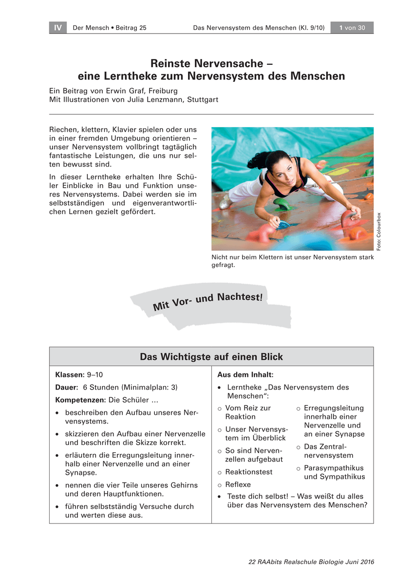 Reinste Nervensache Reinste Nervensache