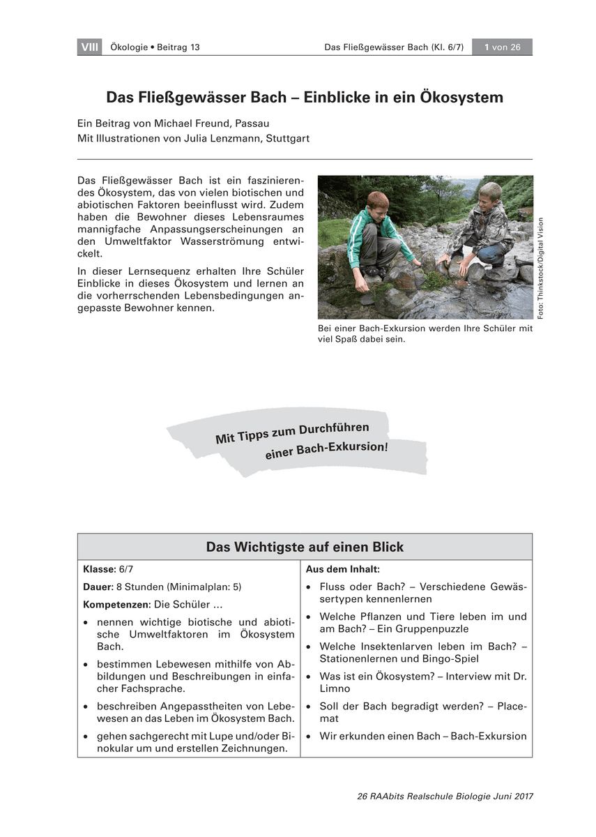 Das Fließgewässer Bach Das Fließgewässer Bach