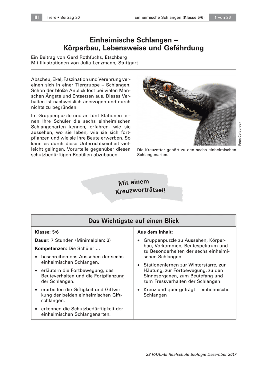 Einheimische Schlangen Einheimische Schlangen