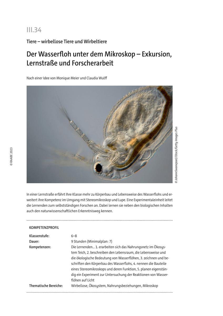 Der Wasserfloh unter dem Mikroskop Der Wasserfloh unter dem Mikroskop