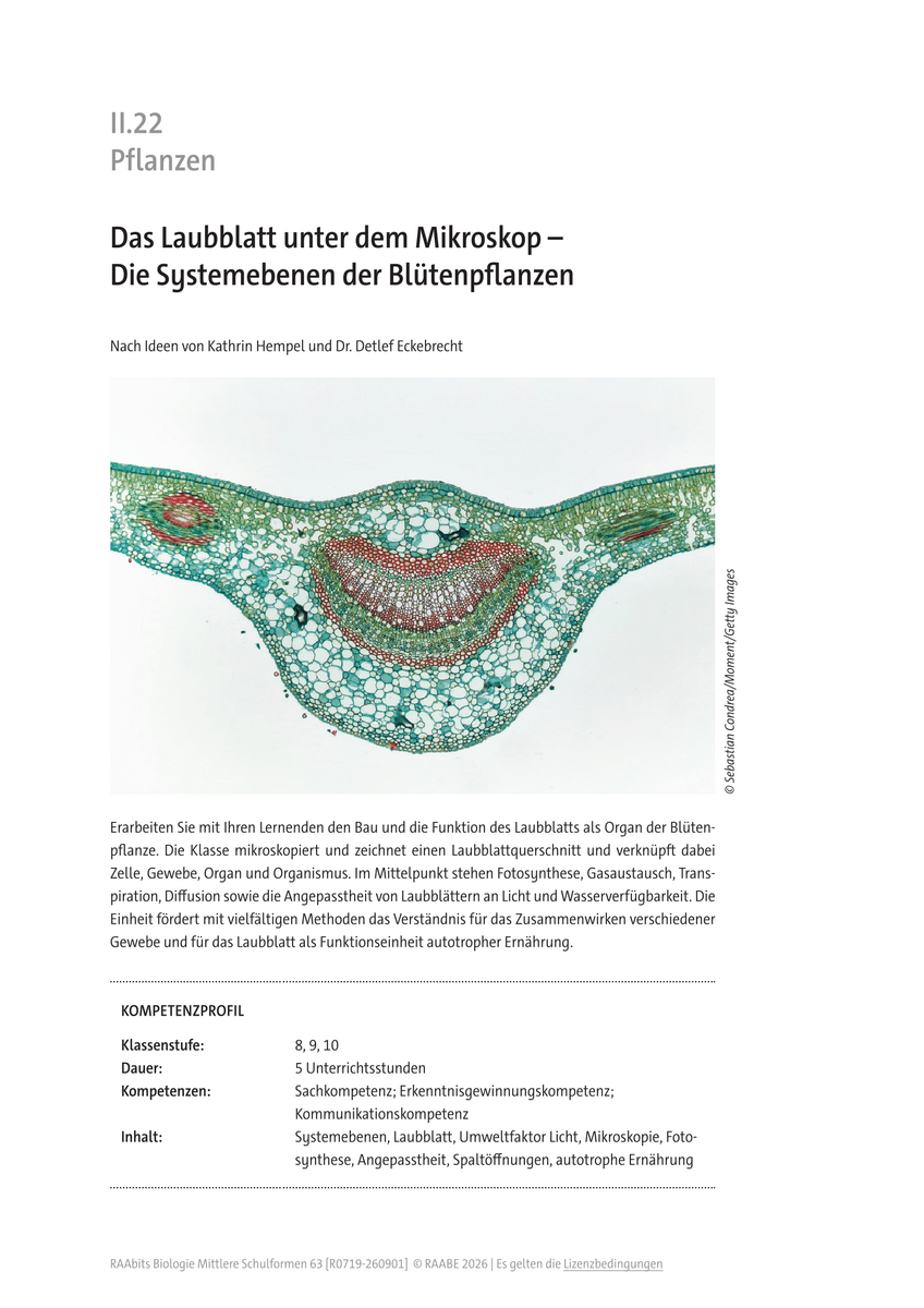 Das Laubblatt unter dem Mikroskop Das Laubblatt unter dem Mikroskop