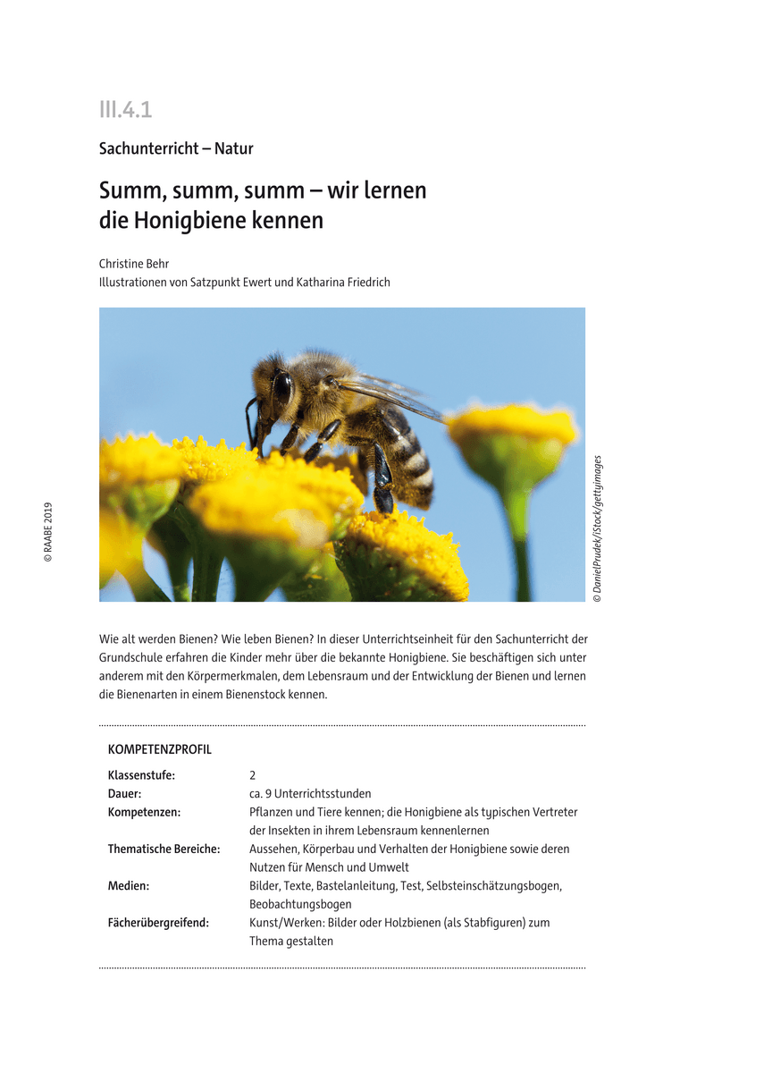 Summ, summ, summ Summ, summ, summ