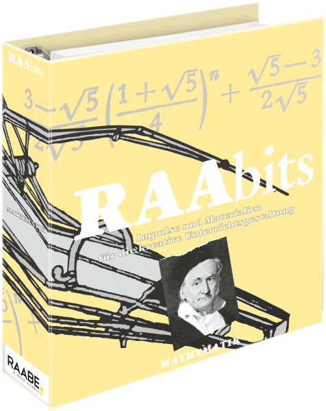 RAAbits Mathematik Sek. I